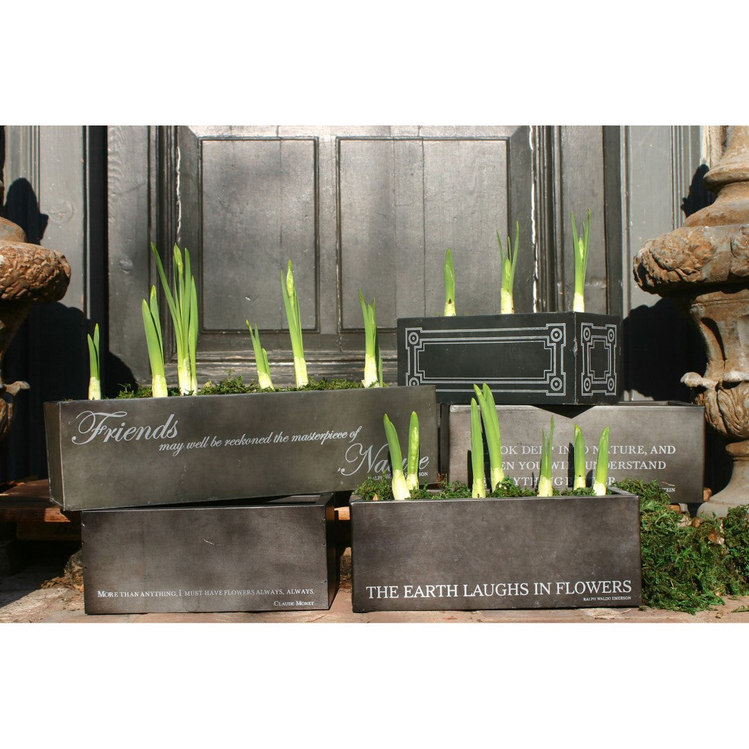 Graphic Border Bulb Forcer - Antique Black Metal Accent for Traditional & Modern Farmhouse Decor